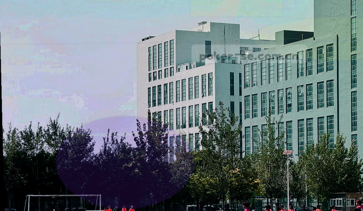 九块切角方块按三行三列排成信息图，每块内用暖金细线画出不同类别的符号，深墨绿底色，无文字堆叠